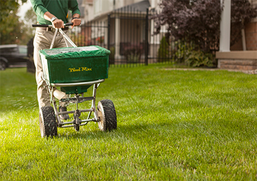 La fertilisation Weed Man pour votre pelouse