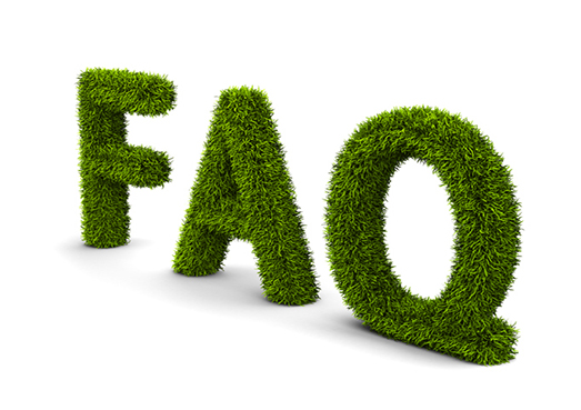 FAQ concernant l'entretien de pelouse au printemps